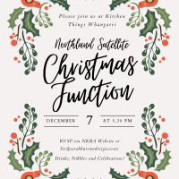 Northern Satellite Xmas 1